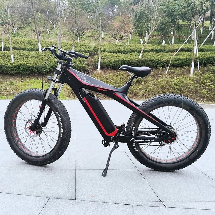 Carbon fibre fat bike on sale