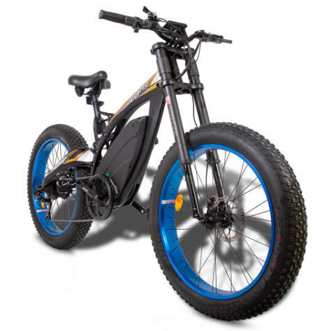 Electric bike 1000w 48v online